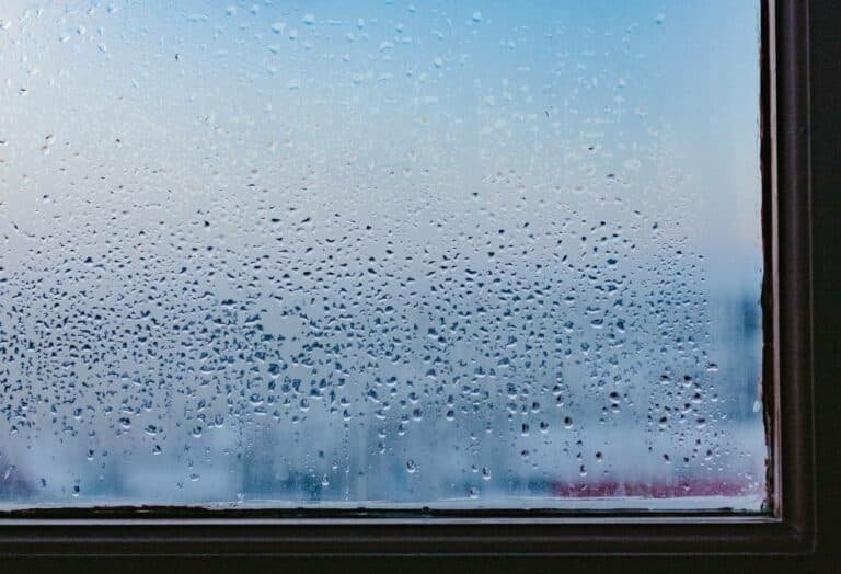 How to Make a Dehumidifier in 8 Easy Ways