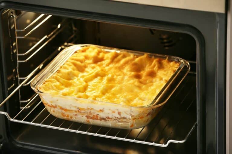 What Can You Cook in a Mini Oven? Ideas for Beginners