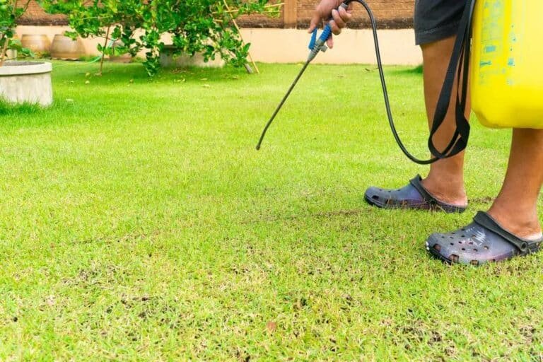 How Does a Weed Killer Work: Its Different Types and Other Important Tips