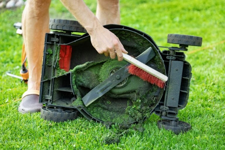 How to Clean an Electric Lawnmower and Other Useful Tips