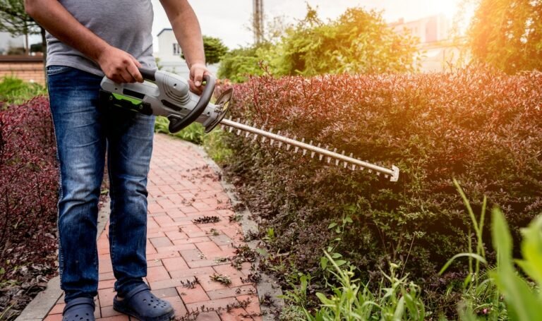 How to Use a Hedge Trimmer: It Pays to Be Safe
