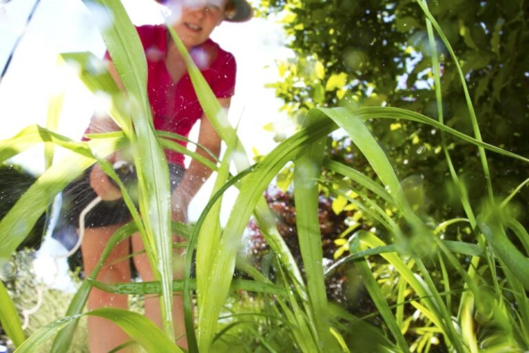 What Weed Killer Is Safe for Dogs: Keep Your Pet Safe