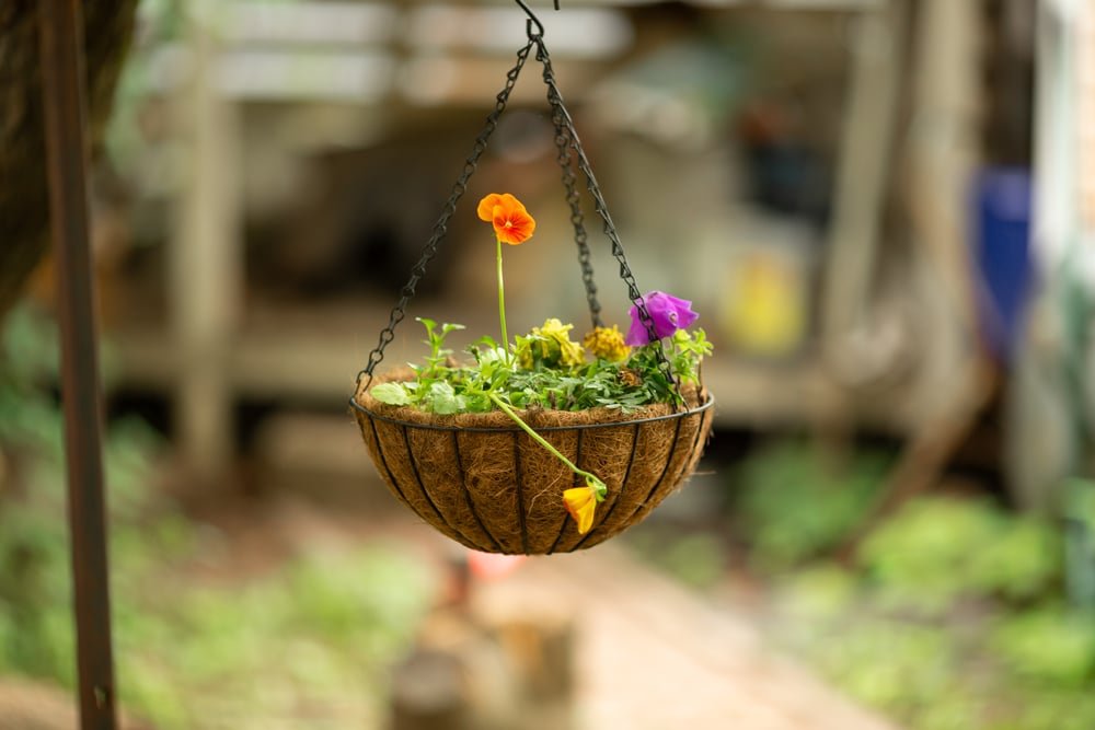 how to make hanging planters