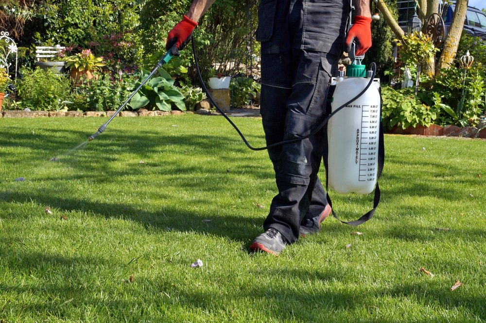 how to make weed killer