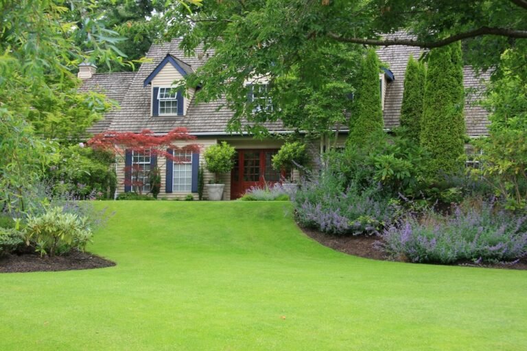 When to Feed Lawn: The Best Time to Fertilise Your Garden