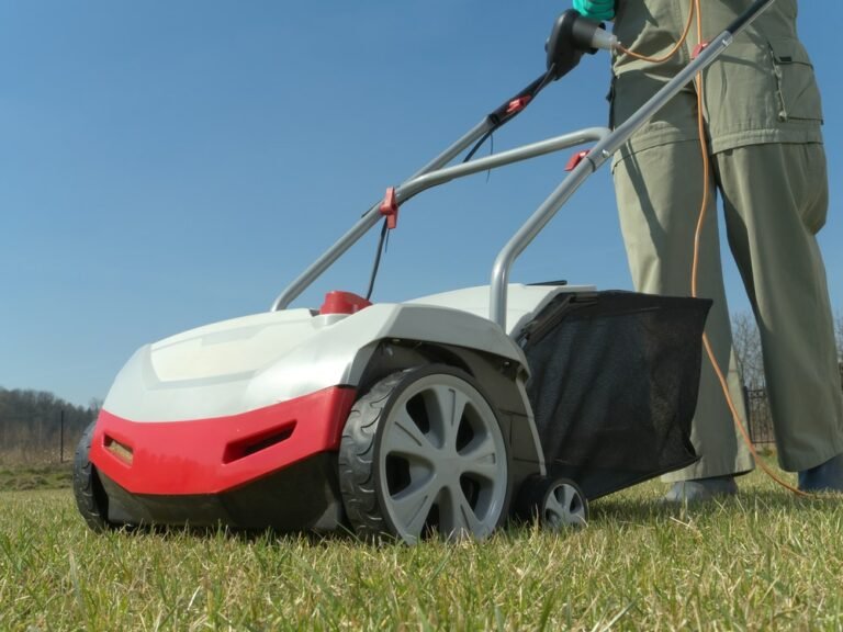 When to Use a Lawn Scarifier: Knowing the Right Time