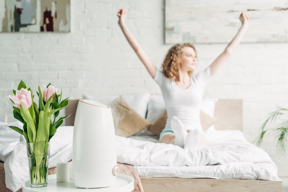 What Does a Humidifier Do