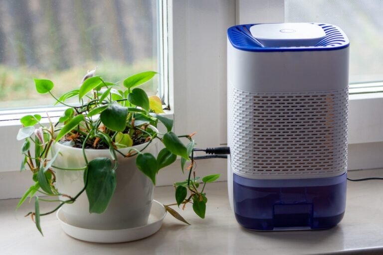 How Does a Dehumidifier Work and Why You Need One in Your Home