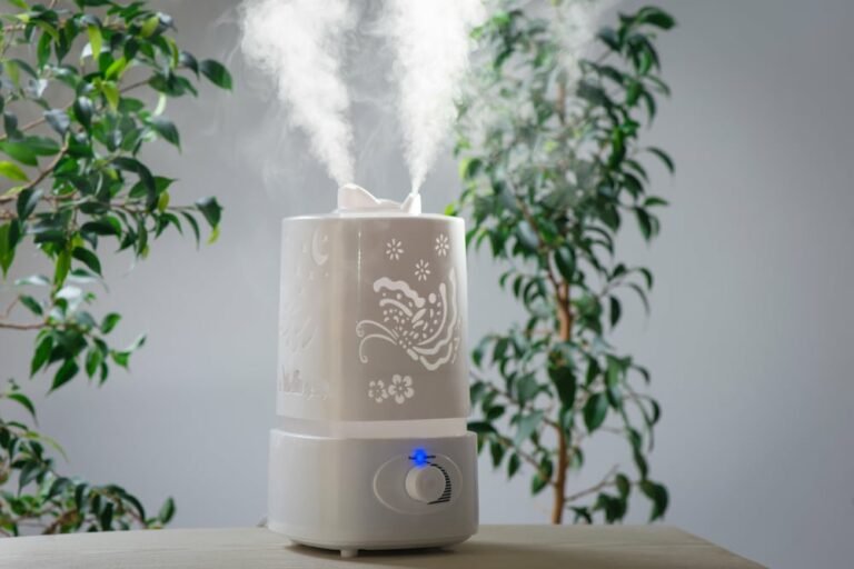 How to Clean a Humidifier: All Tips You Need to Know